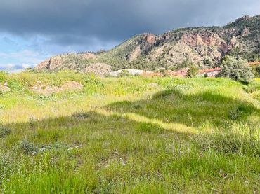 Terreno rustico in vendita a Pedanías Este
