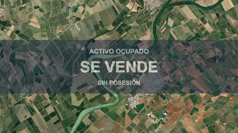 Foto 4 von Wohnung zum Verkauf in Brenes, Sevilla