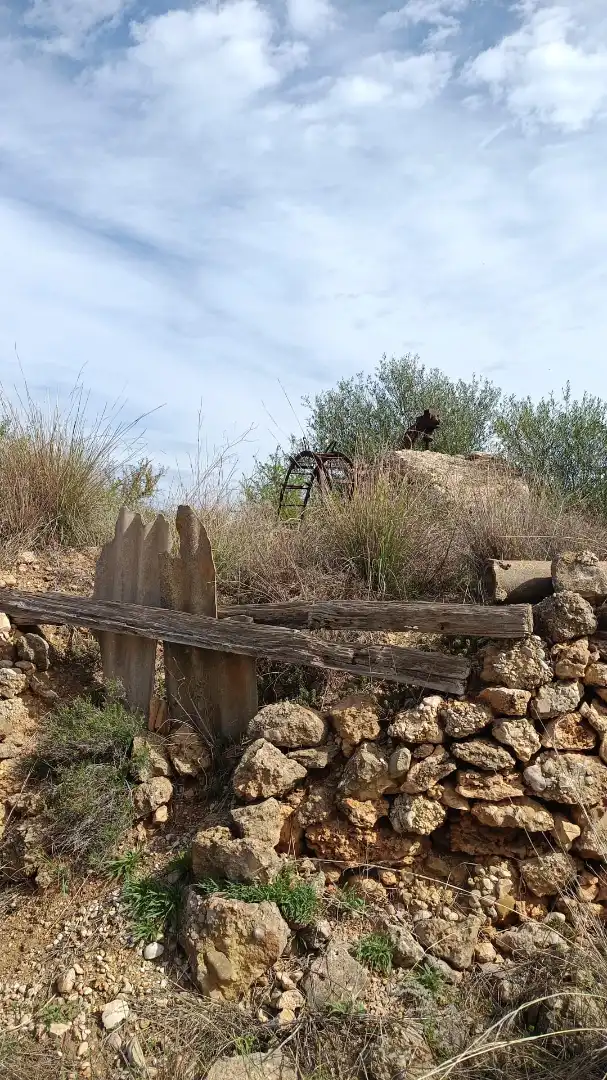 Rural land for sale in Alcossebre, imagen 2