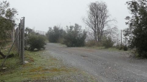 Finca rústica en Peligros  Ideal inversión o explotación agrícola, immagine 4