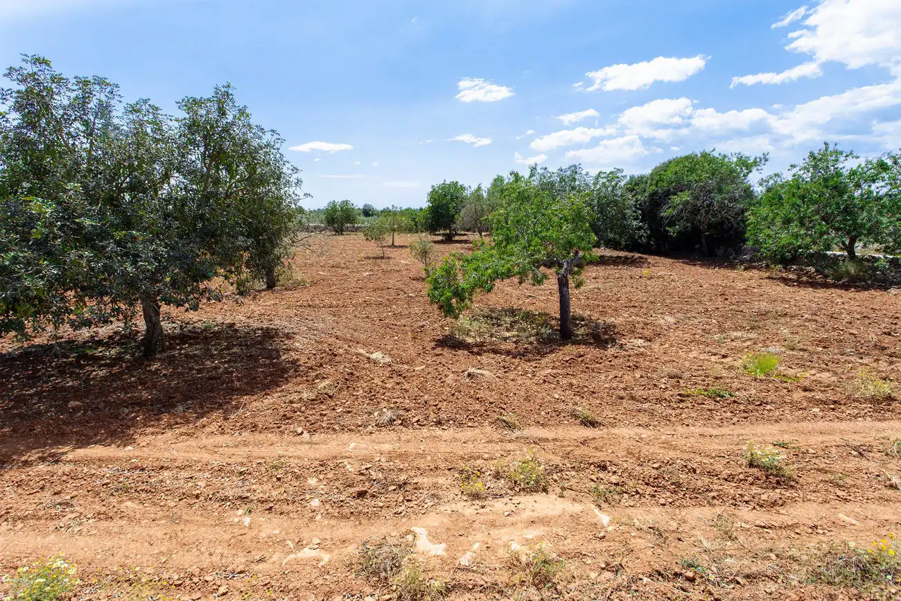 Terrenys i solars en venda a Felanitx Poble, imagen 4