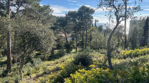 Foto 2 de Piso en venta en Llafranc, Palafrugell
