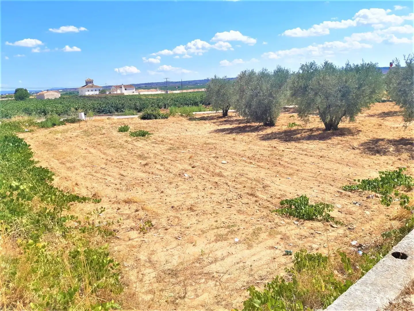 Wohnbaugrundstück zum Verkauf in Carretera Caudete - Los Corrales 2, imagen 13