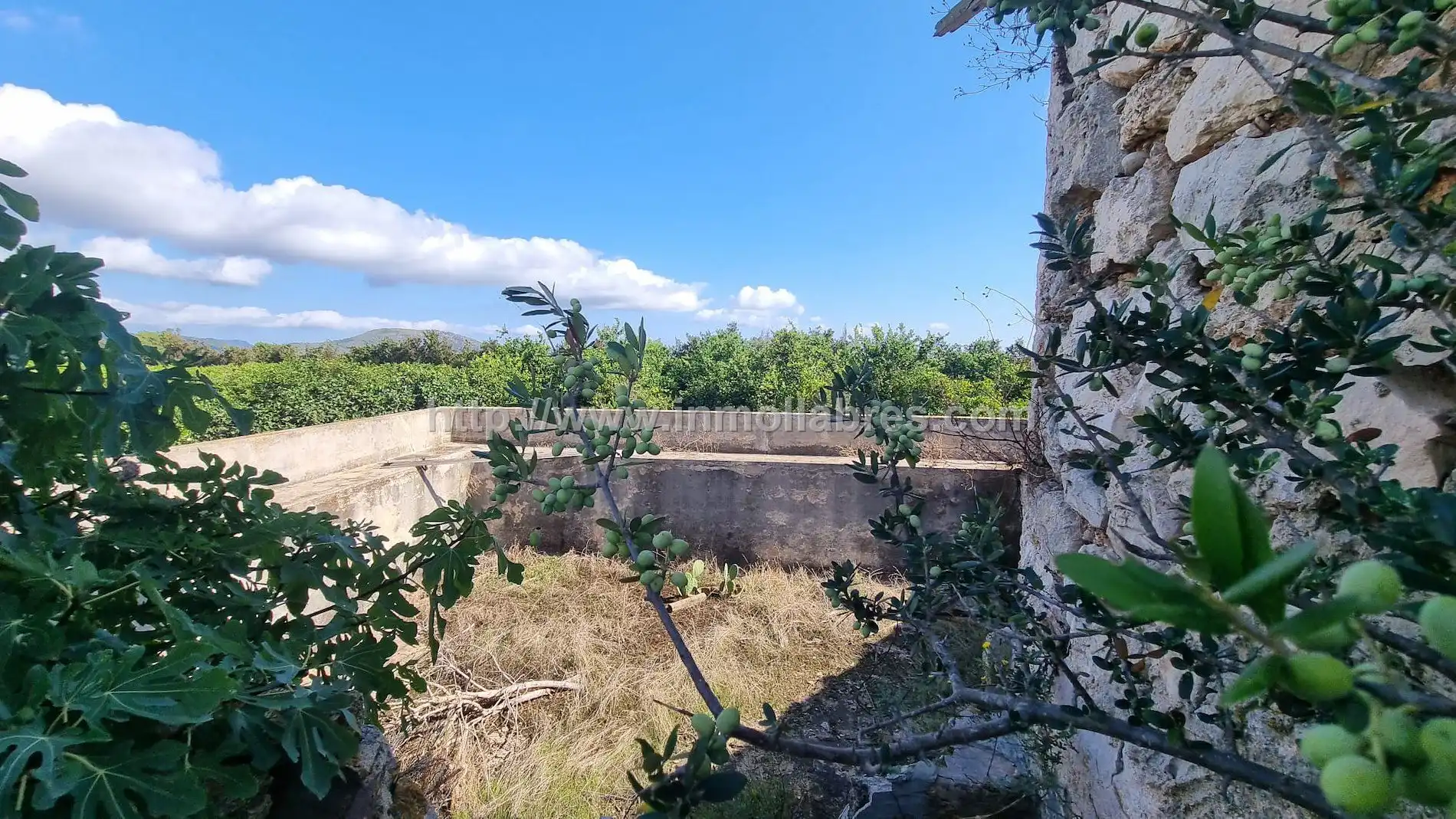 Maison rustique à vendre à Muro, imagen 6