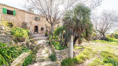 Casa Rural en la Sierra de Tramuntana, imatge 3