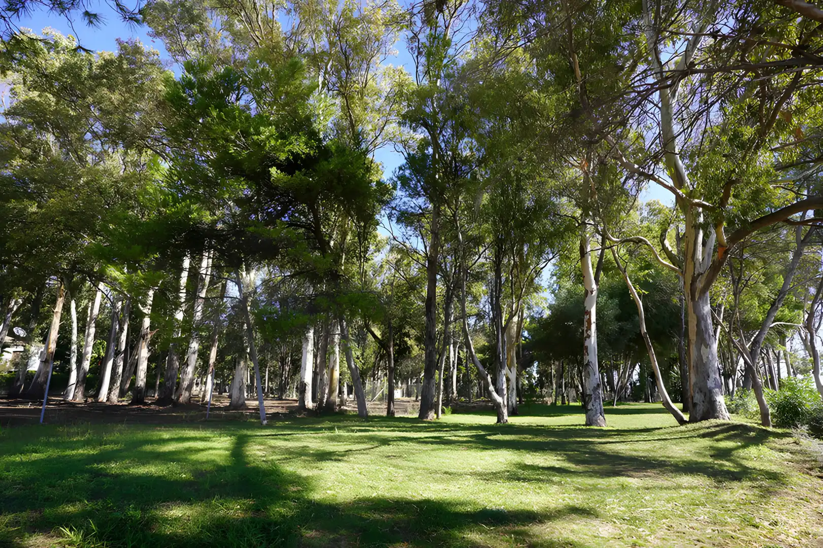 Jardí de Casa adosada en venda en Estepona amb Aire condicionat, Jardí privat i Terrassa