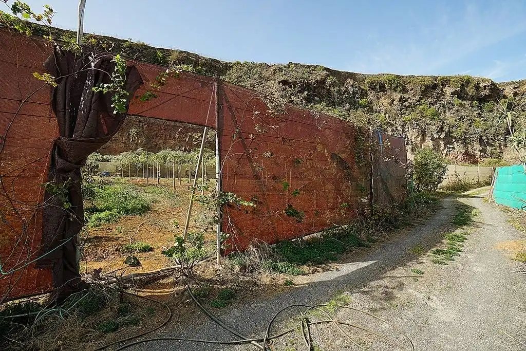 Finca rústica en venta en Camino DEHESA, 10, Santa María de Guía de Gran Canaria