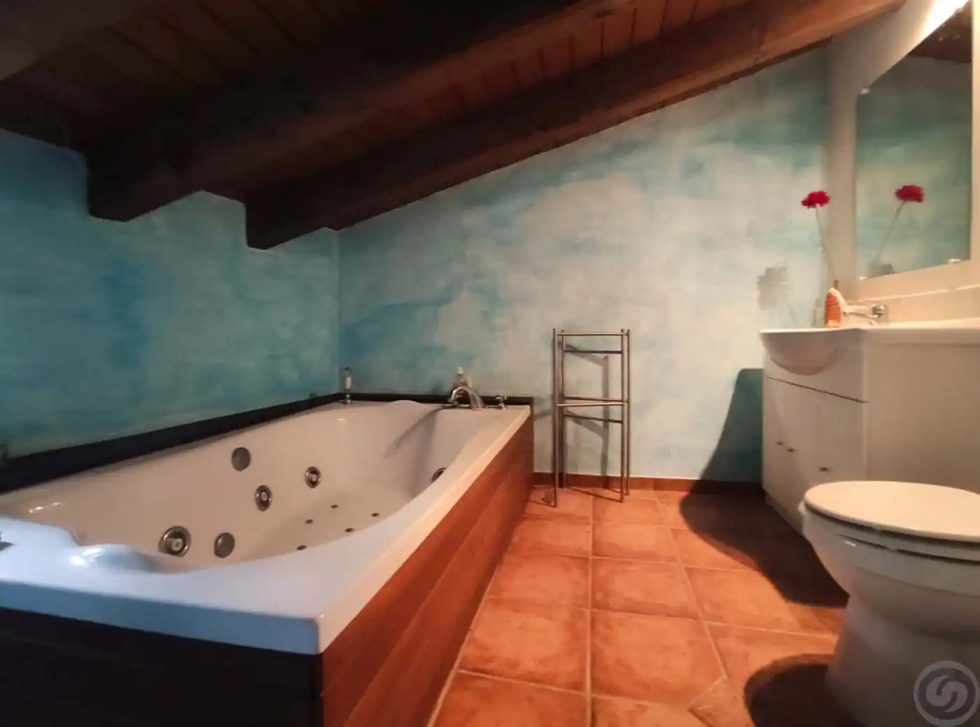 Bathroom of Houses for sale in La Vall de Bianya  with Heating, Terrace and Storage room