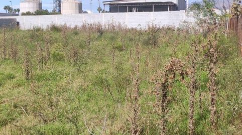 FINCA EN LAS ALGAIDAS MOTRIL, imatge 2