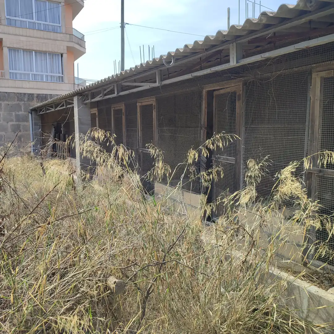 Terreny residencial en venda a Carrer de Bonany 8, imagen 11