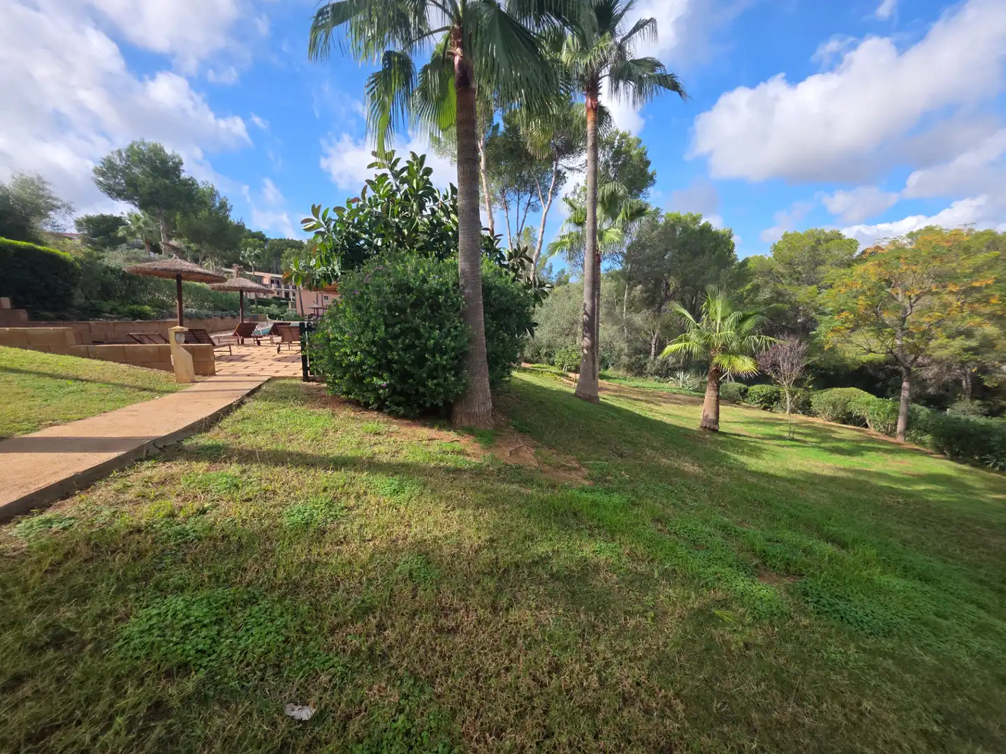Garten von Einfamilien-Reihenhaus zum Verkauf in Calvià mit Klimaanlage, Heizung und Privatgarten