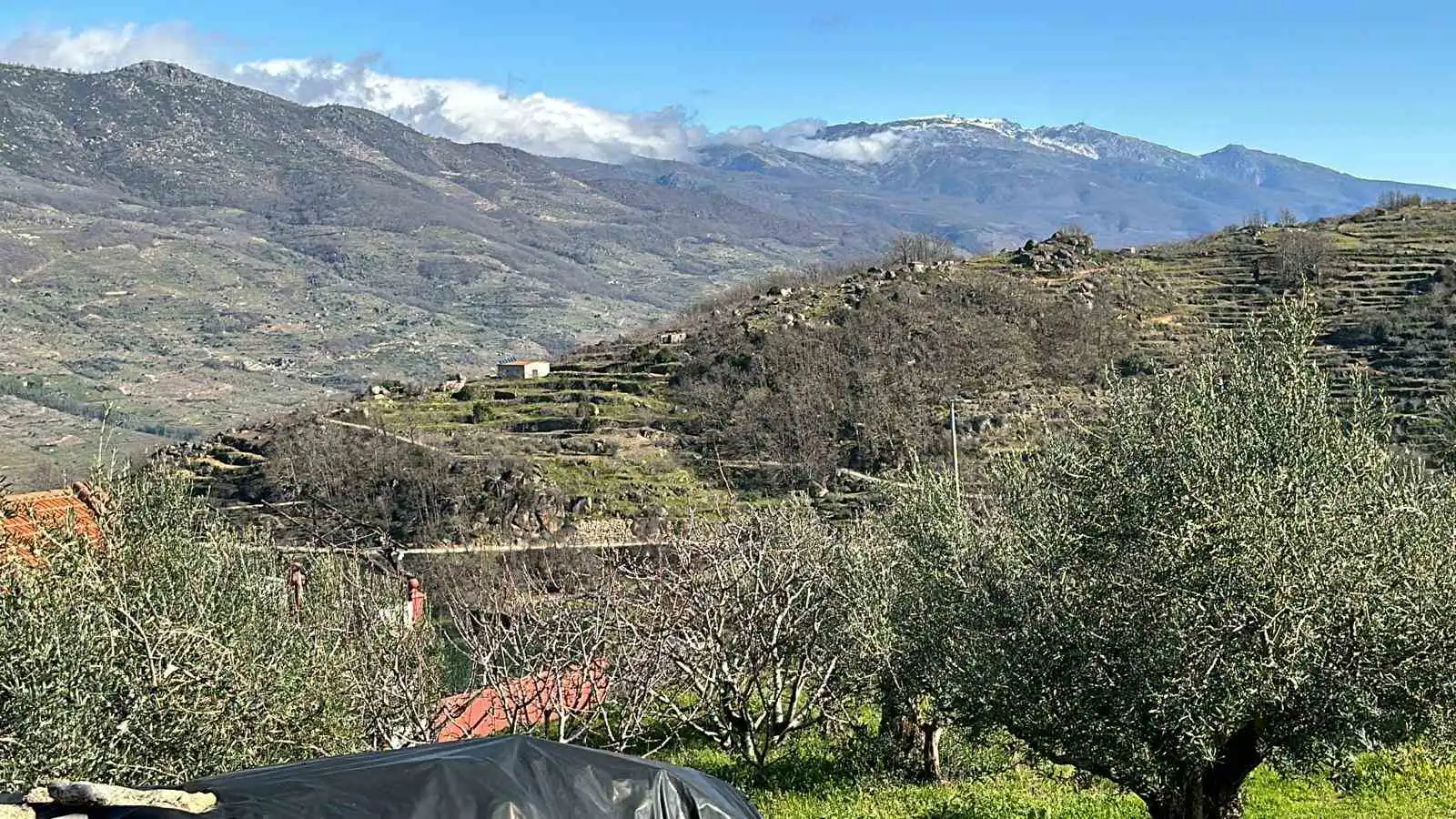 Residential land for sale in Paseo Naranjos 56B, imagen 3
