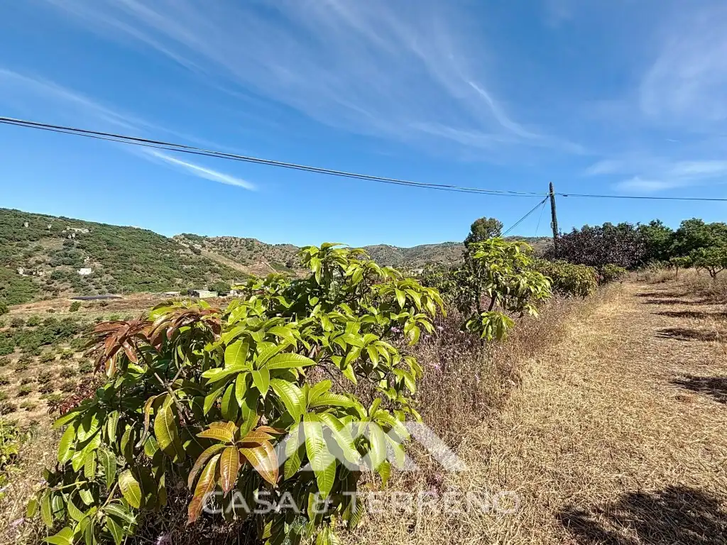 Vista exterior de Casa o xalet en venda en Vélez-Málaga amb Aire condicionat, Jardí privat i Terrassa