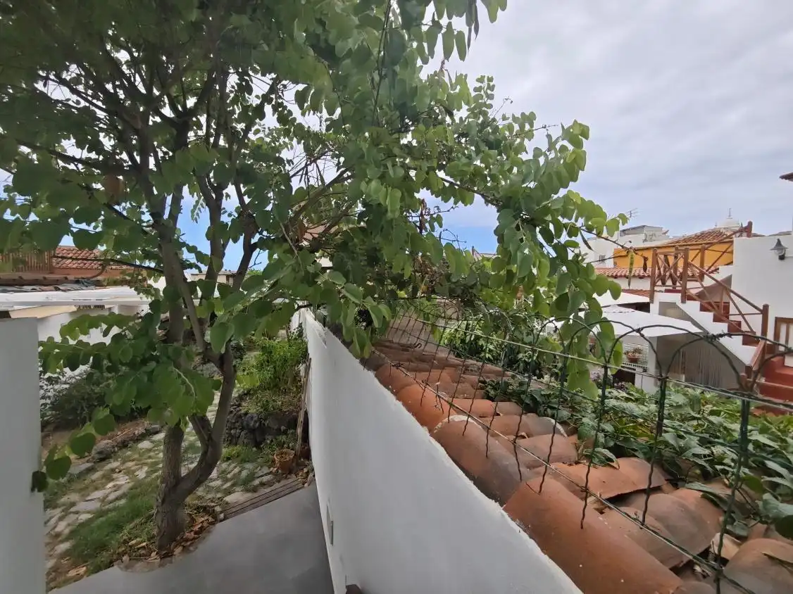 Casa con jardín en venta en Garachico, imagen 39