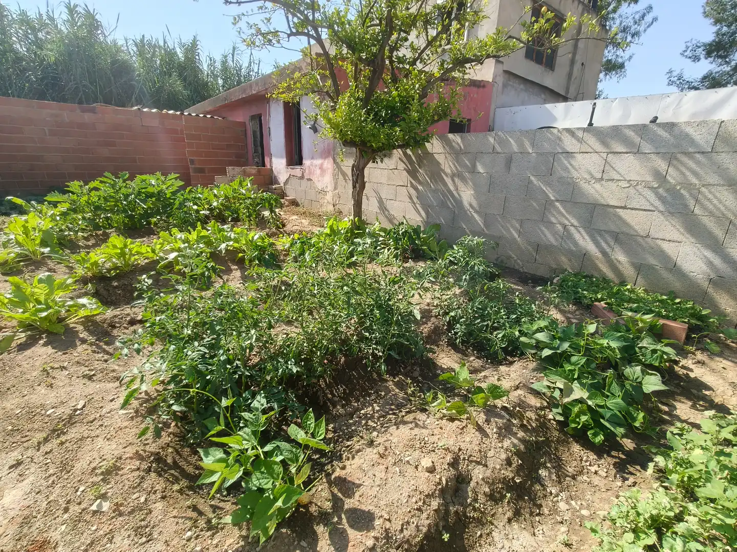 Casa o chalet en venta en Montroi / Montroy con Jardín privado, Terraza y Trastero