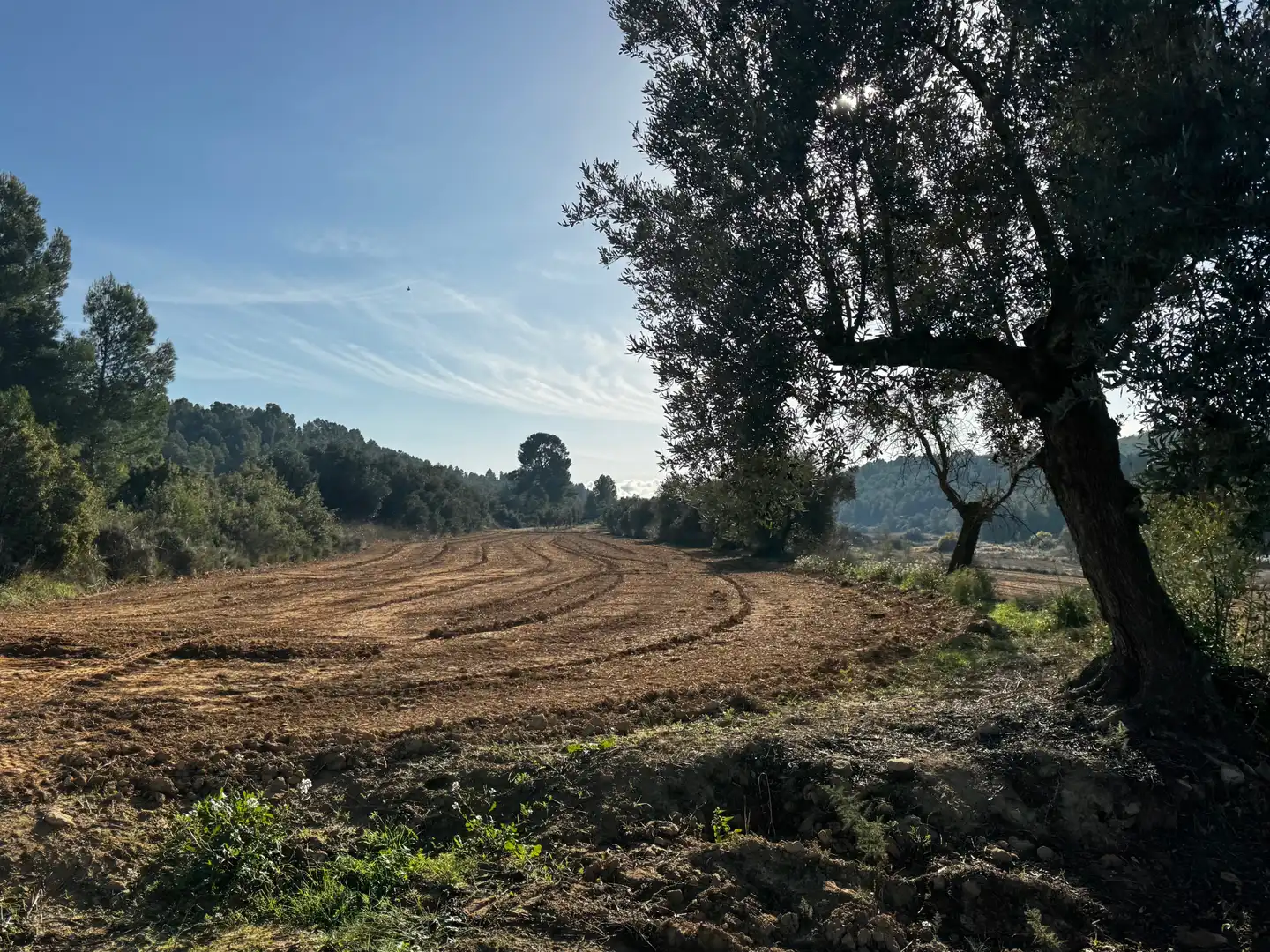Terreno en venta en N/A, -1, Torre del Compte