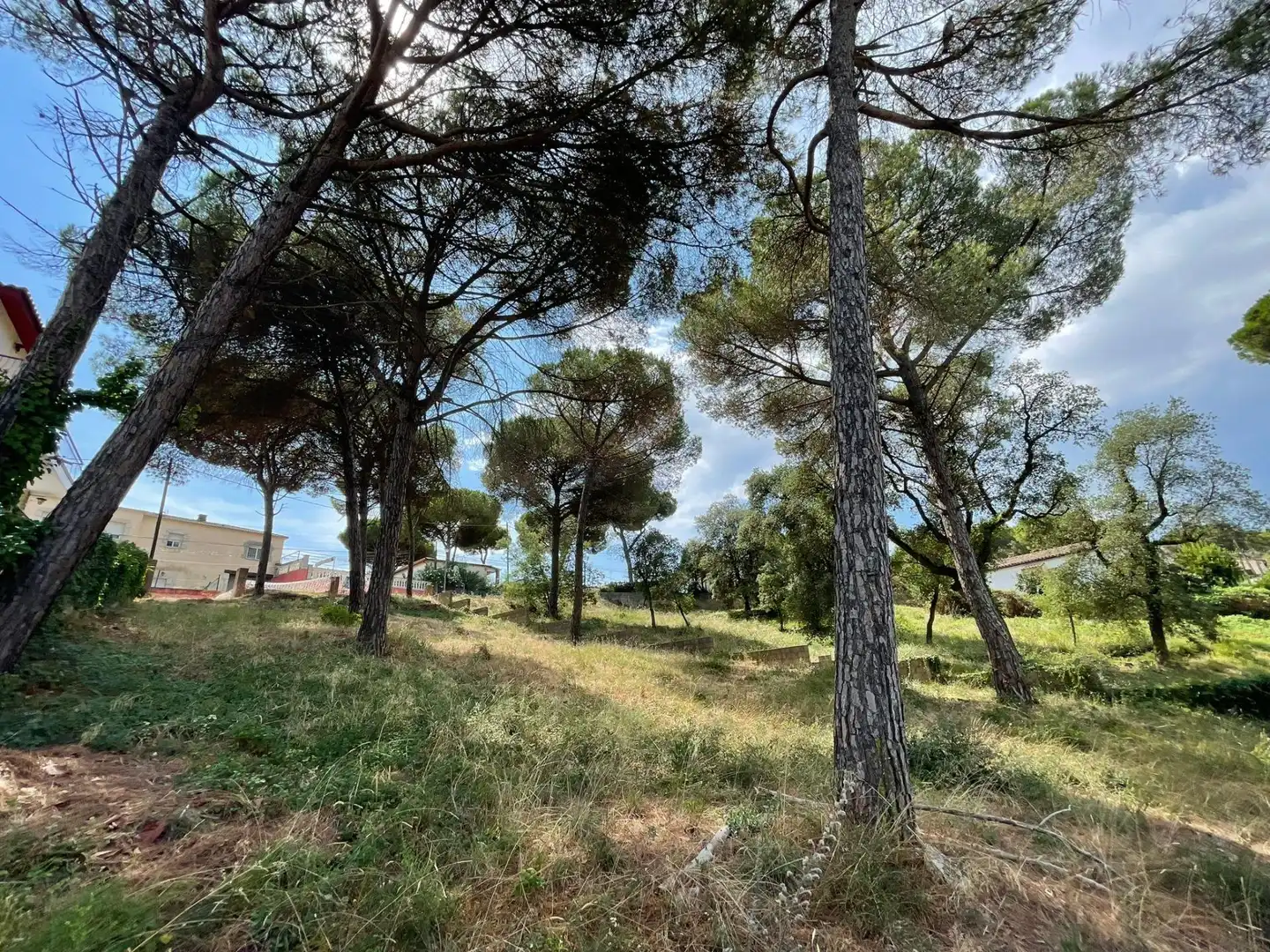 Terreno residencial en venta en Mas Mora - Sant Daniel, imagen 19