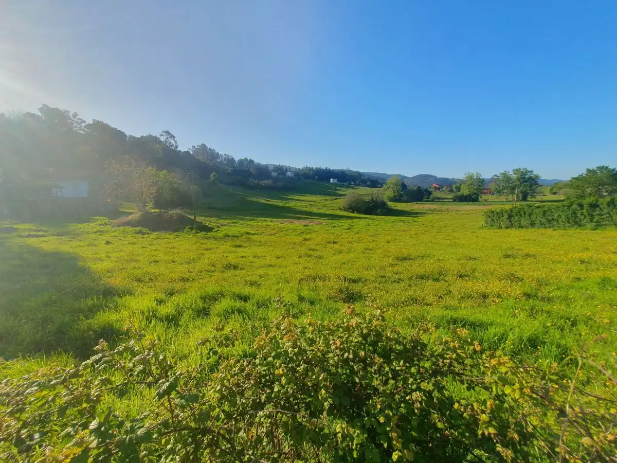 Terrenos y solares en venta en Salas