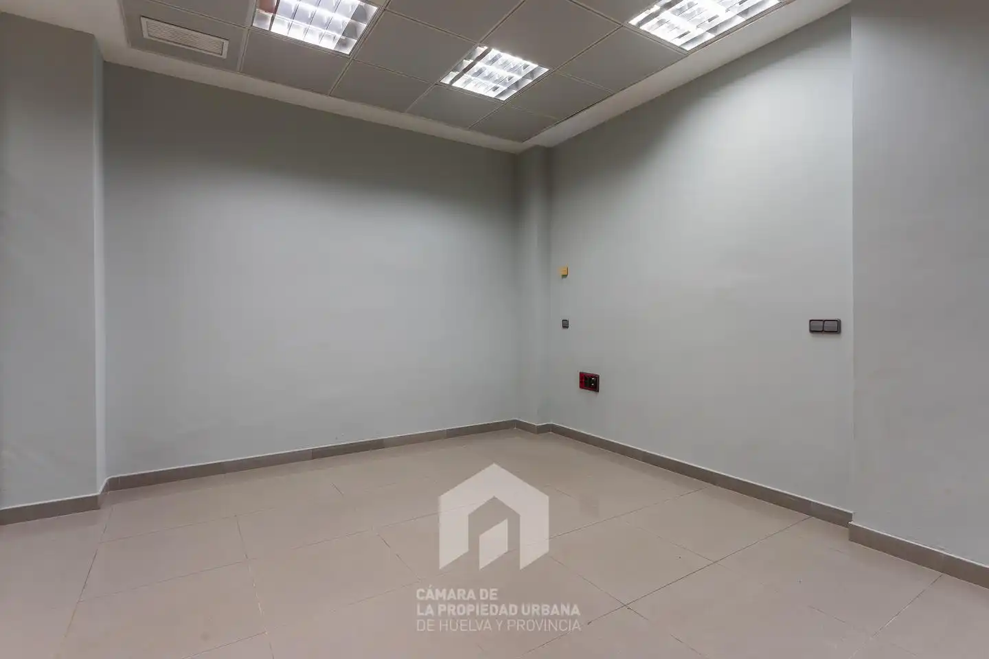 Local comercial en alquiler en Isla Chica, imagen 8