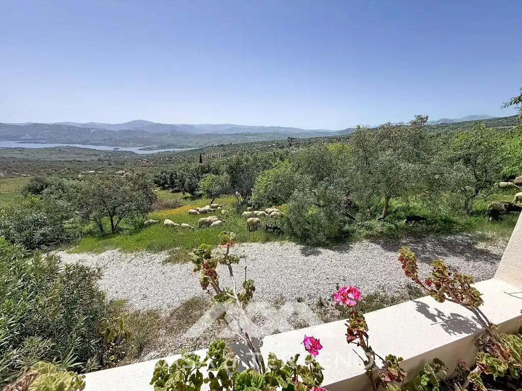 Jardín de Casa o chalet en venta en Alcaucín con Aire acondicionado, Calefacción y Jardín privado