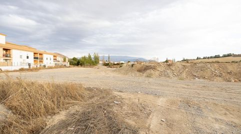 MAGNIFICO TERRENO URBANO EN LA MALAHA MUY CERCA DEL POLIGONO INDUSTRIAL DE ESCUZAR, immagine 5