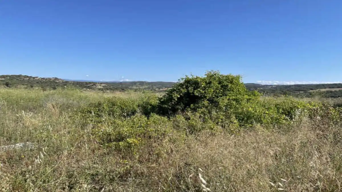 Residential for sale in Blecua y Torres