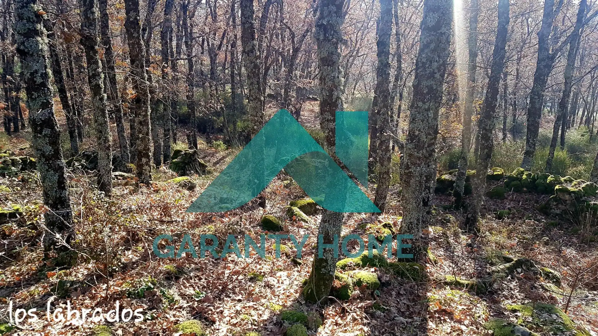 Finca rústica en venta en Aldeanueva de la Vera