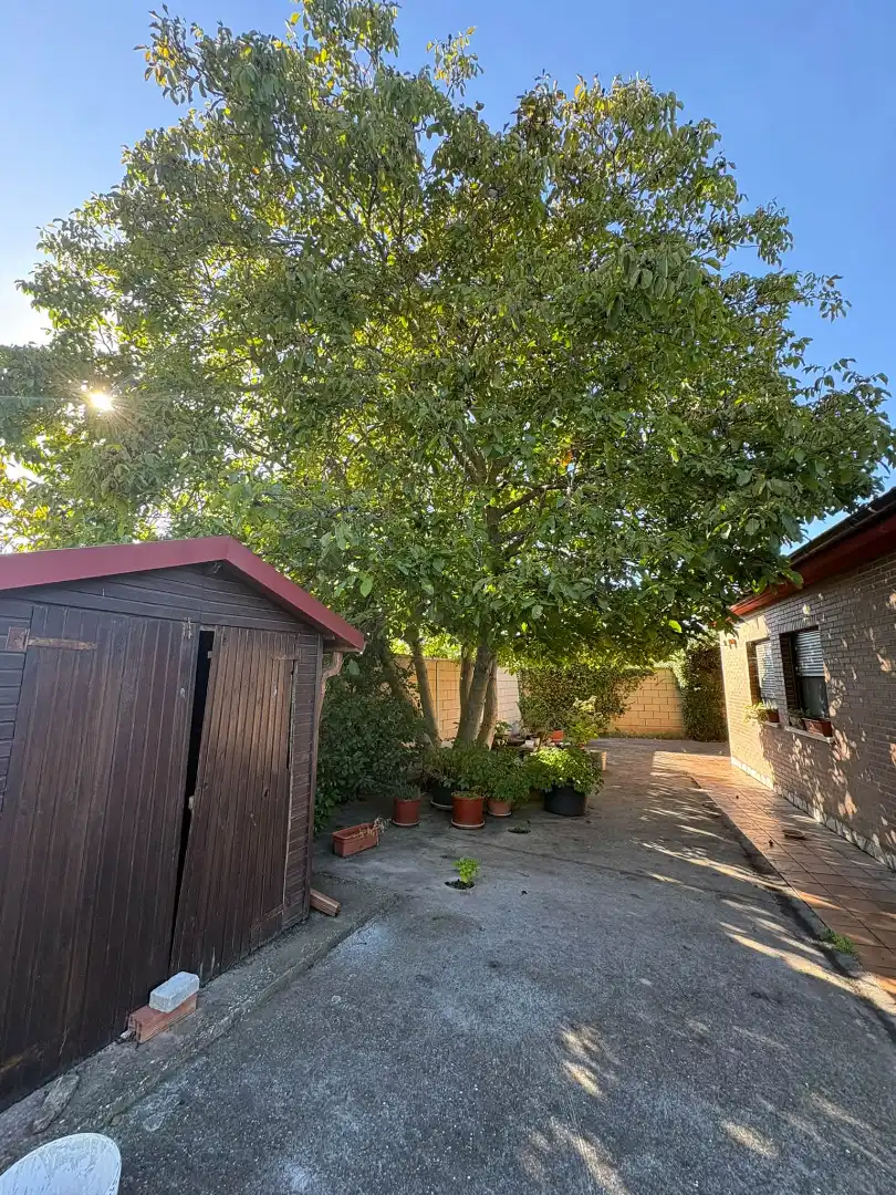 Jardín de Terreno en venta en Albelda de Iregua