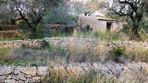 Foto 2 de Casa o chalet en venta en Partida Coll de L'albapoligono 15 Parcelas 18, 19,, Bítem, Tortosa