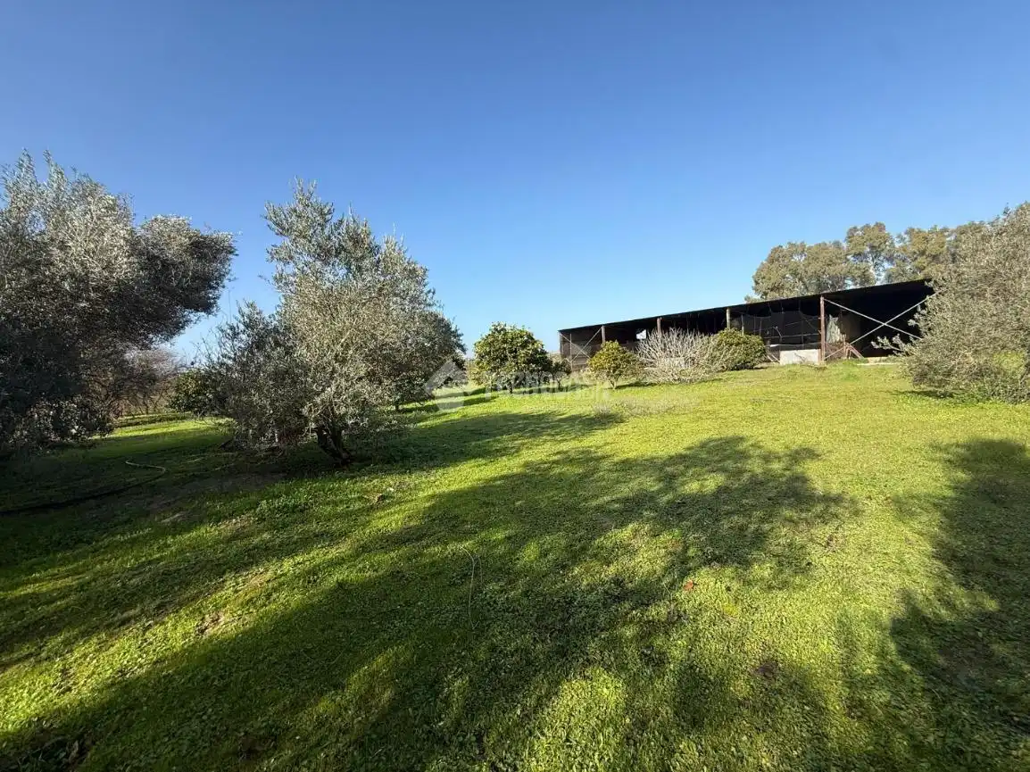 Terreno en venta en Arahal