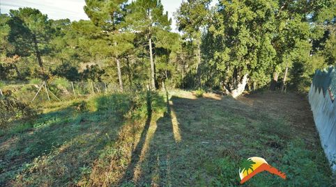 R02059 PARCELA DE 800 M2 EN LA URBANIZACION DE LLORET BLAU, imatge 2