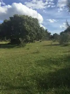 Terreny rústic en venda a Avenida de Chapinería 2, imagen 20