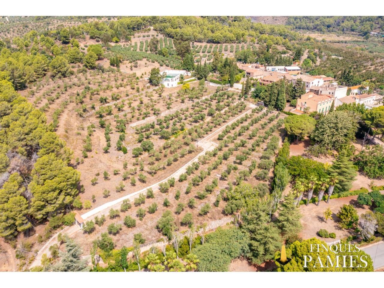 Finca rústica en venda a Concepció, 3, Riudecols