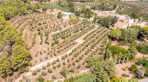 Photo 3 of House or chalet for sale in Concepció, 3, Riudecols, Tarragona