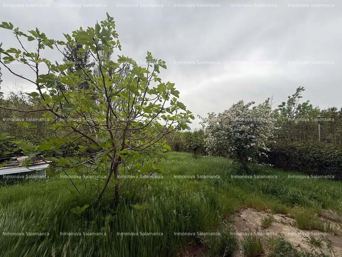 Casa o xalet en venda en Membribe de la Sierra amb Calefacció, Jardí privat i Moblat