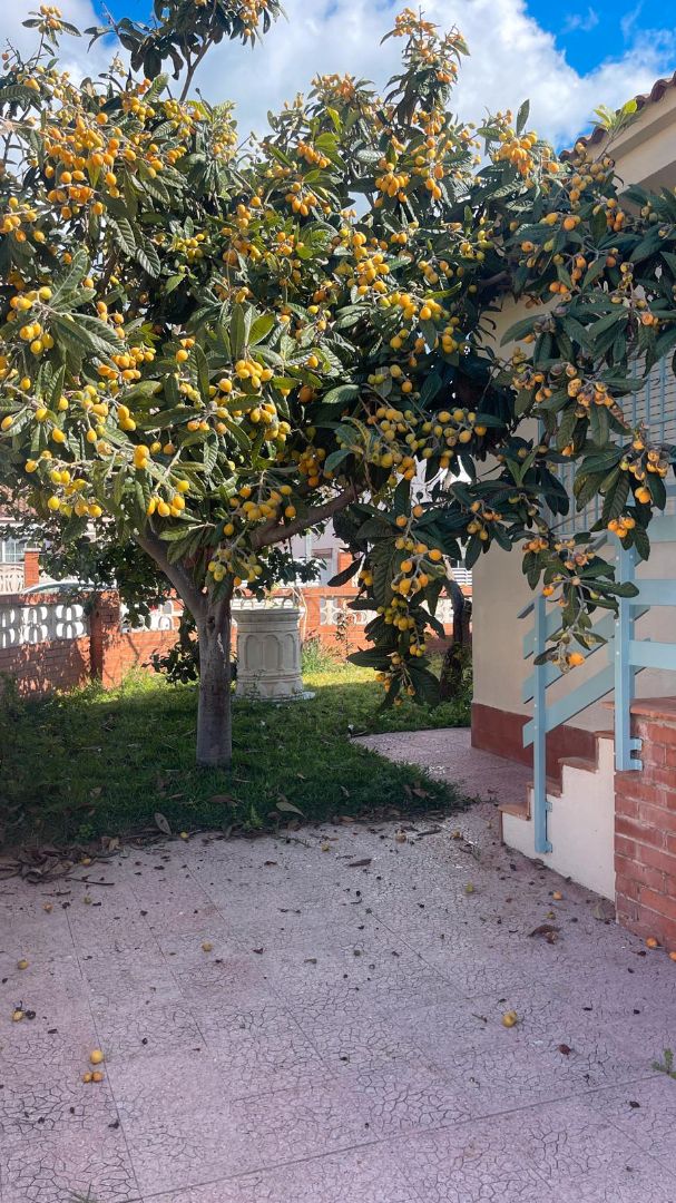 Jardí de Casa o xalet en venda en Cunit amb Calefacció, Jardí privat i Parquet