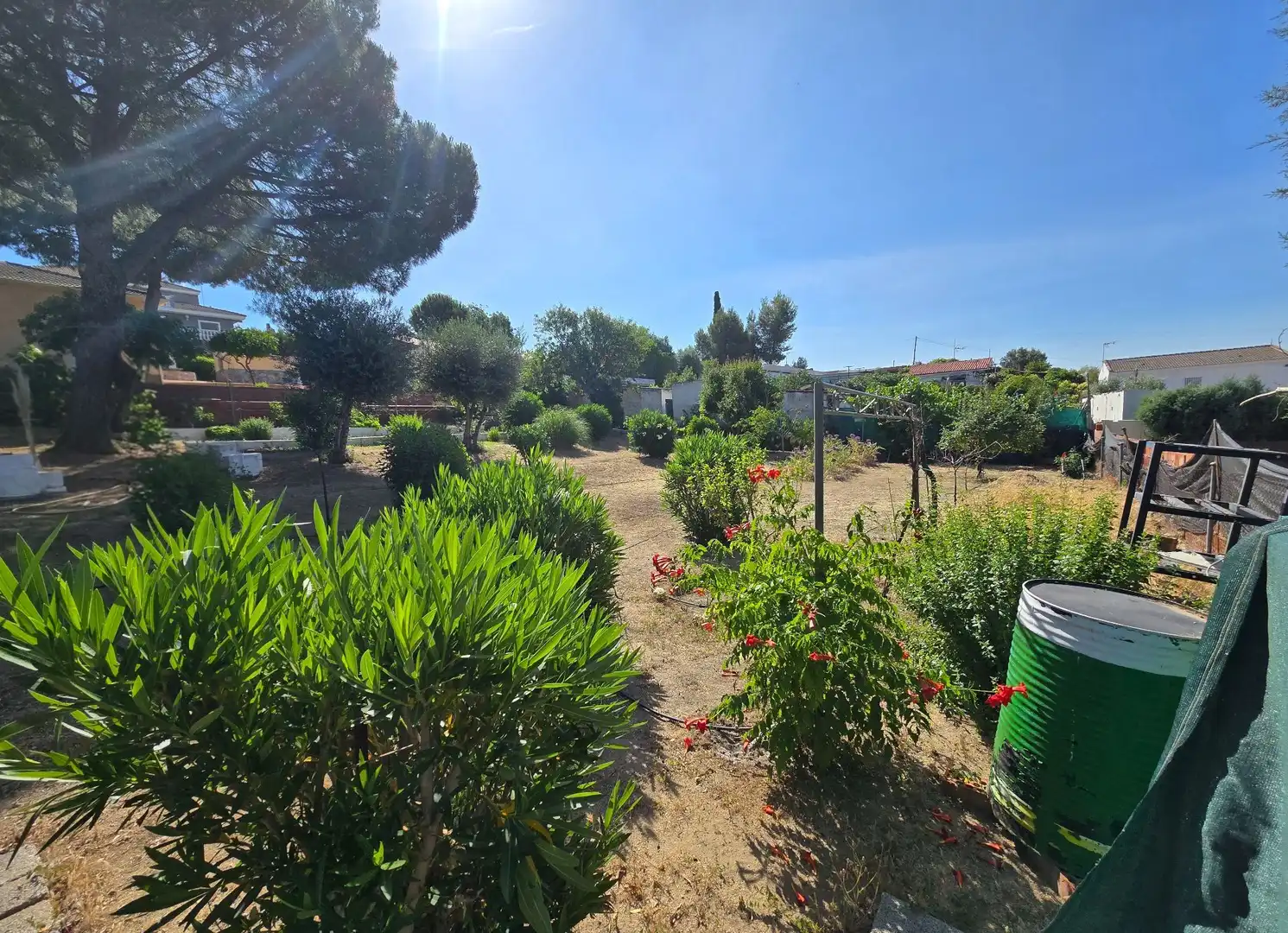 Jardín de Casa o chalet en venta en Cedillo del Condado