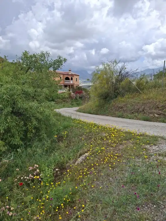 Rustikales Grundstück zum Verkauf in Viñuela, imagen 4