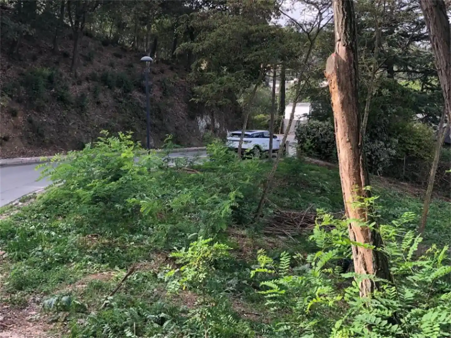 Terreno en venta en Les Planes