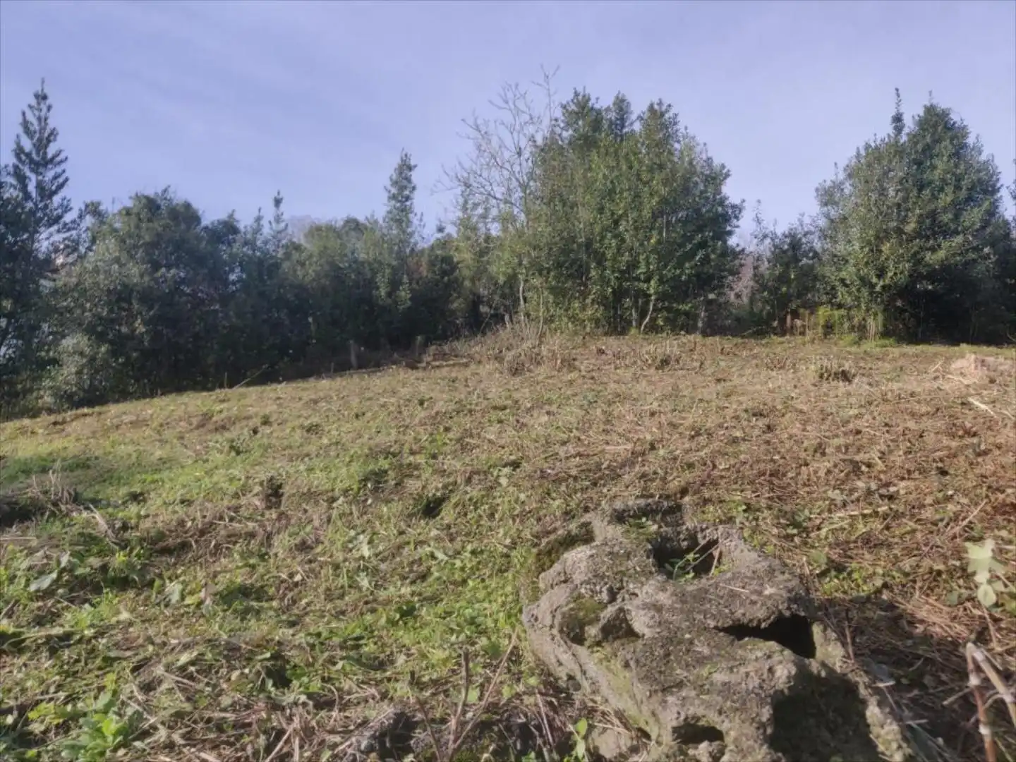Terreni e lotti in vendita a Bárcena de Cicero, imagen 8