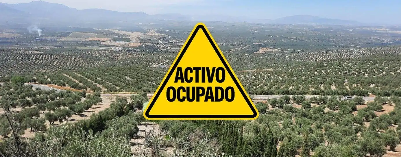 Terreni e lotti in vendita a Begíjar