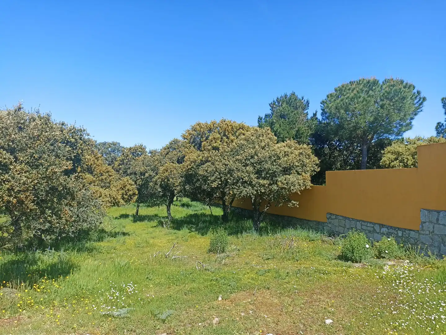Terreny residencial en venda a Calle Virgen del Pino 41, imagen 4