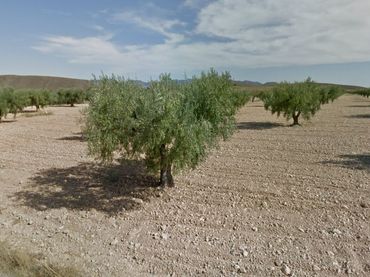 Terreno rustico in vendita a Jumilla