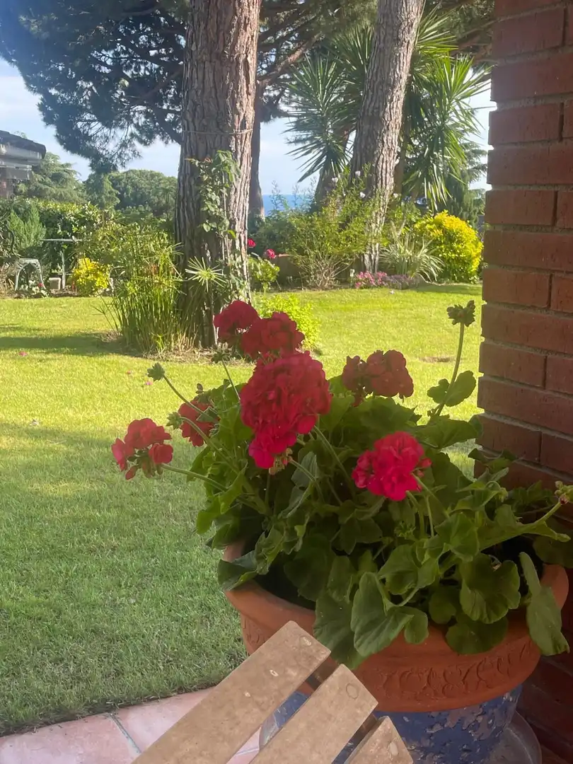 Haus mit Pool zum Verkauf in Les Bilbenyes, imagen 18