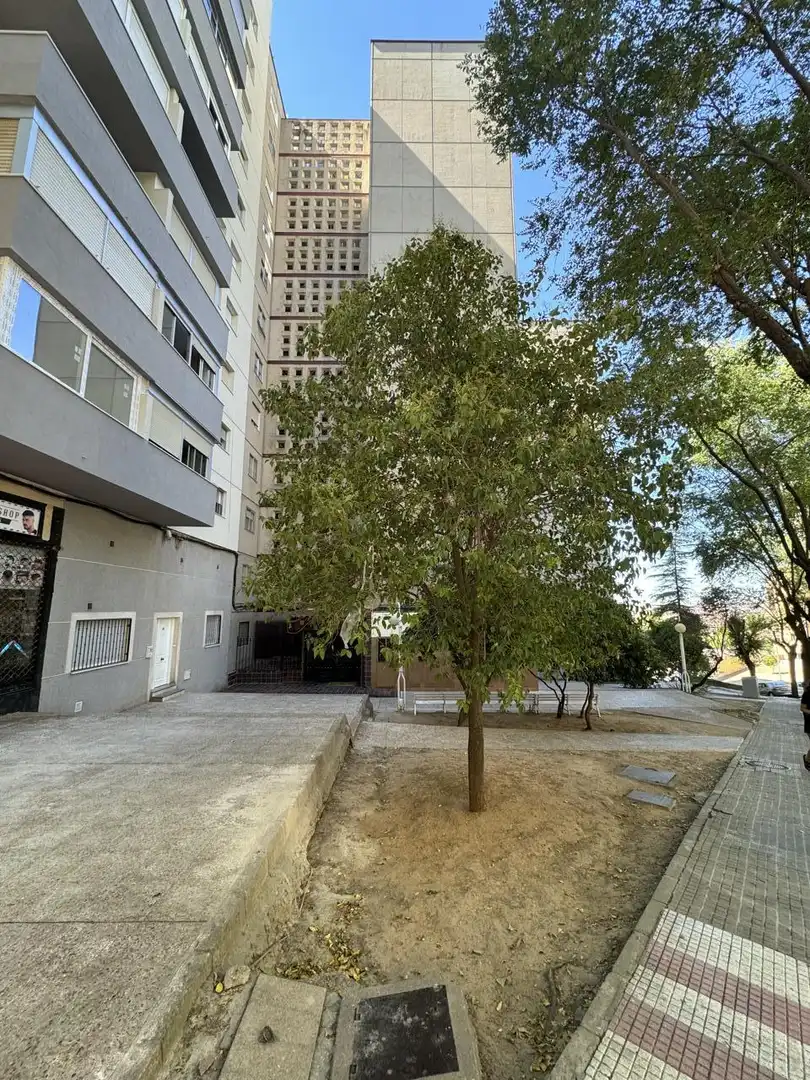 Planta baja en venta en Travesia del Nuevo Alamin, Alamín