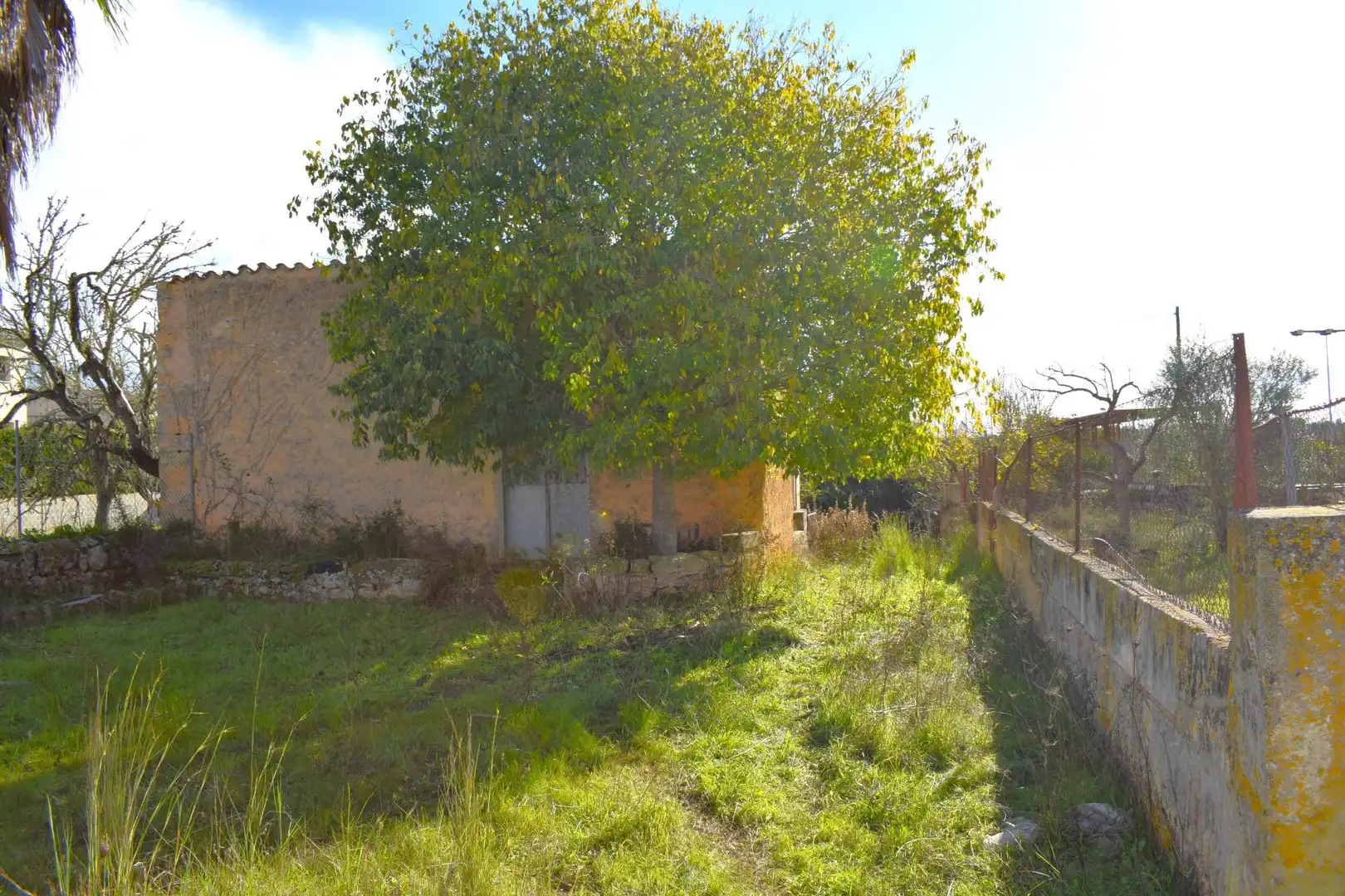 Residential land for sale in Llubí, imagen 5