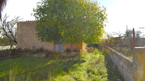 Solares  con hermosas  vistas a la Serra de Tramuntana en Llubi, imatge 5