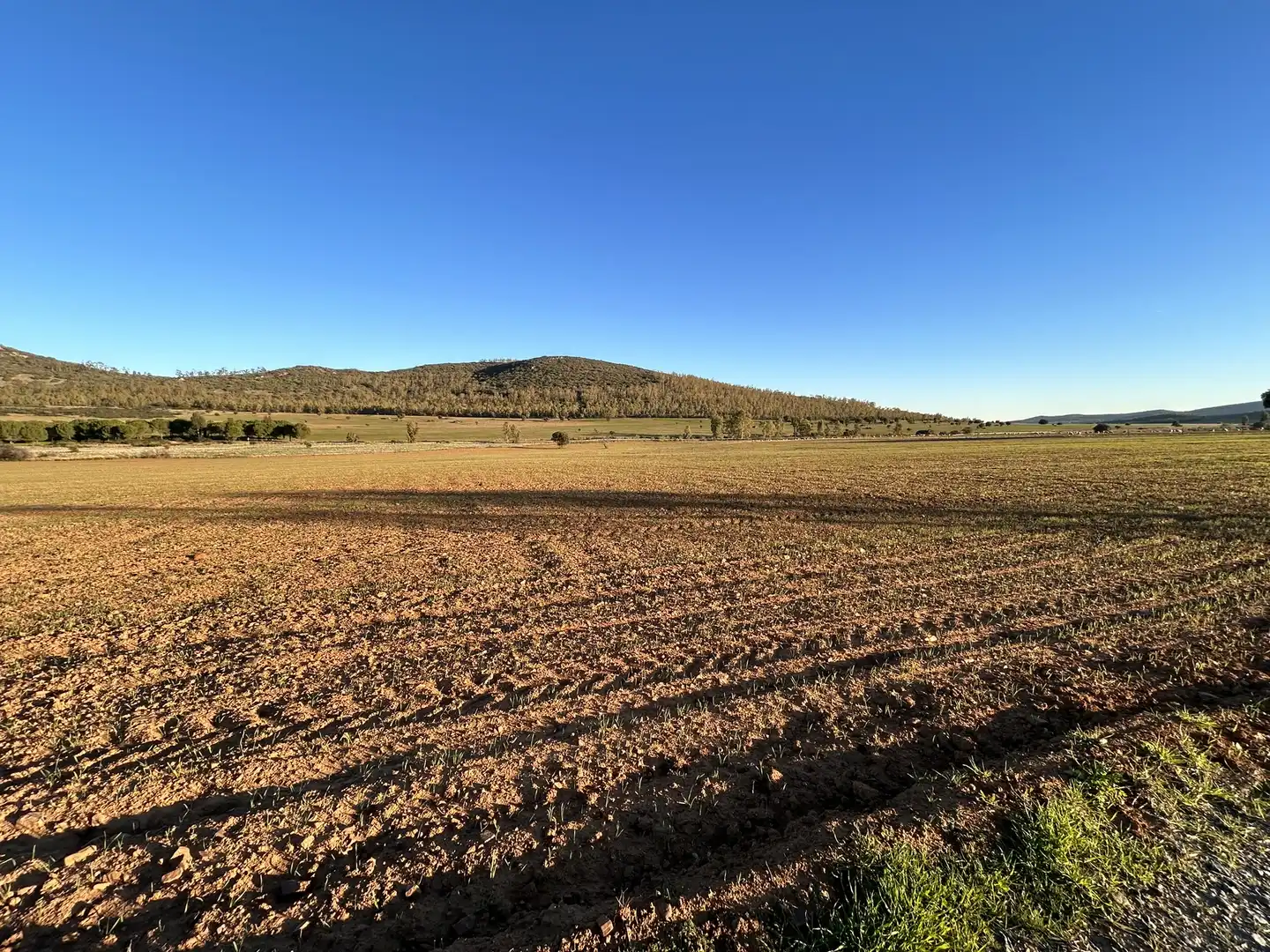 Terreny rústic en venda a Peraleda del Zaucejo, imagen 23