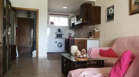 Photo 4 of Planta baja for rent in Villa Horacia, La Jara, Sanlúcar de Barrameda