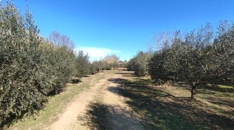 Foto 3 de Terreno en venta en Carrer Major, 54, Montferri, Tarragona